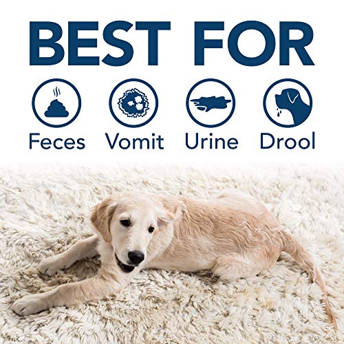 Simple Solution Extreme - Removedor de Manchas y olores para perros, 500 ml Simple Solution Extreme - Removedor de Manchas y olores para perros, 500 ml