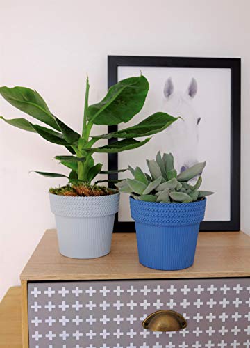 SimplyTheBest Maceta para plantas de hierbas, puente, 16 cm de diámetro, soporte para alféizar de ventana, balcón, jardín, caja organizadora, decoración de caja de mezcla, juego (gris) SimplyTheBest Maceta para plantas de hierbas, puente, 16 cm de diámetro, soporte para alféizar de ventana, balcón, jardín, caja organizadora, decoración de caja de mezcla, juego (gris)