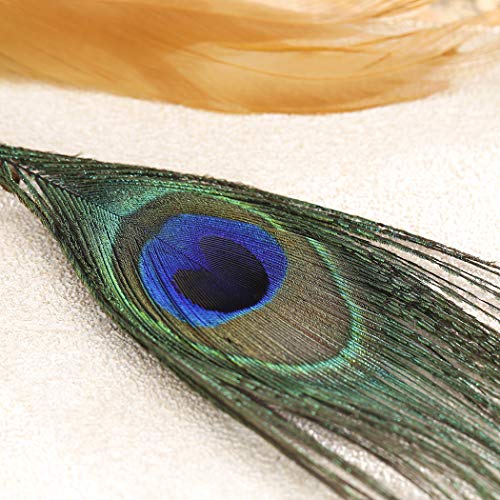 Simsly Diadema bohemia con plumas de pavo real hippie india de los años 20 con cadena de plumas para el pelo, accesorios de joyería, tocado para mujeres y niñas (gris) Simsly Diadema bohemia con plumas de pavo real hippie india de los años 20 con cadena de plumas para el pelo, accesorios de joyería, tocado para mujeres y niñas (gris)