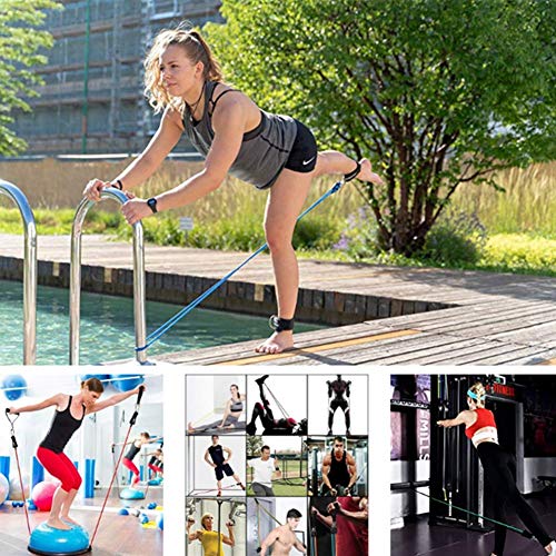 SKY TEARS Bandas Elásticas Resistencia Fitness Bandas, Tubos de Ejercicios Fitness para Culturismo, Rehabilitación, Yoga e Pilates, Gimnasio en casa, Hombre y Mujer