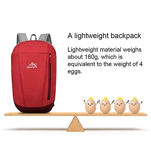 SKYSPER Mochila Casual 10L Mochila de Senderismo Ultraligera Impermeable para Escolar Niño Mujeres Hombres para Ocio Viajes Escolares Deportes al Aire Libre Ciclismo Bicicleta Multifuncional SKYSPER Mochila Casual 10L Mochila de Senderismo Ultraligera Impermeable para Escolar Niño Mujeres Hombres para Ocio Viajes Escolares Deportes al Aire Libre Ciclismo Bicicleta Multifuncional