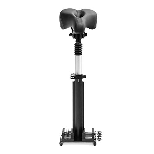 SmartGyro Xtreme Seat - Asiento para patín eléctrico, compatible con Xiaomi M365 y SmartGyro Xtreme City SmartGyro Xtreme Seat - Asiento para patín eléctrico, compatible con Xiaomi M365 y SmartGyro Xtreme City