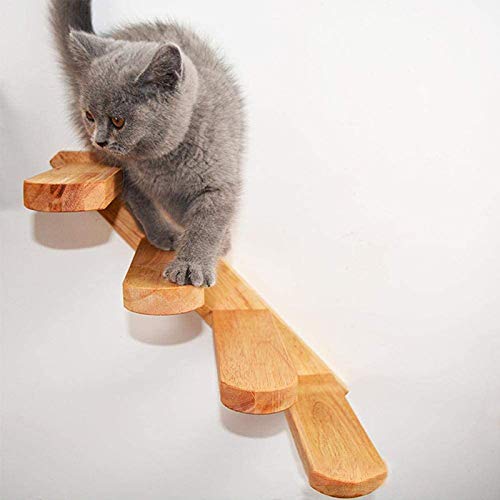 SNOWINSPRING Escalera de Escalada de Gato Montada en la Pared Plataforma de Salto Marco de Escalada de Gato TrampolíN de Gatito Derecha Baja Izquierda Alta SNOWINSPRING Escalera de Escalada de Gato Montada en la Pared Plataforma de Salto Marco de Escalada de Gato TrampolíN de Gatito Derecha Baja Izquierda Alta