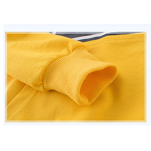 Snyemio Niño Otoño Invierno Ropa Conjuntos Sudaderas + Pantalones Bebé Manga Larga Suéter Capucha Tops Snyemio Niño Otoño Invierno Ropa Conjuntos Sudaderas + Pantalones Bebé Manga Larga Suéter Capucha Tops