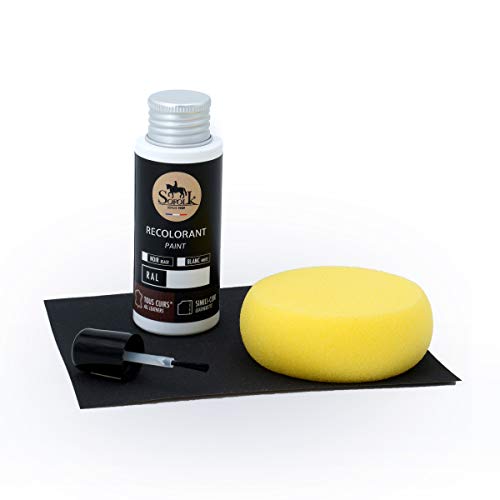 SOFOLK - Kit de reparación de Pinturas de Piel sintética y Vinilo, 21 Colores Disponibles, Cuidado para Asiento y Volante de Coche, sofá, Zapatos, Chaqueta y Otras Prendas (Beige - RAL 1001)