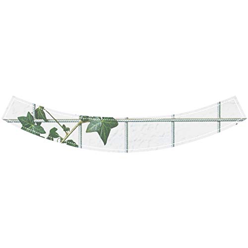 Sombrero para correr para mujer Climber Plant Garden Ivy Nature Plant Para mujer Sombrero para el sol para correr Mujer Visera para el sol Deporte Ajustable Ropa deportiva para atletismo Running Somb Sombrero para correr para mujer Climber Plant Garden Ivy Nature Plant Para mujer Sombrero para el sol para correr Mujer Visera para el sol Deporte Ajustable Ropa deportiva para atletismo Running Somb