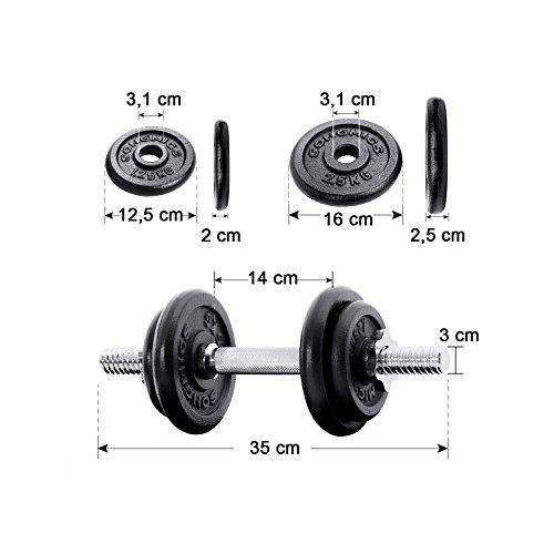 Songmics Juego de 2 Mancuernas de Fitness, Para Hombres, Discos de Hierro Fundido, 30Kg Syl30T