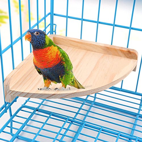 Soporte de madera para perca de pájaros para animales pequeños, loro, paracaídas, conecto, gérlibo, rata, rata, chinchilla, jaula de hámster y accesorios para ejercicio, juguetes y sector