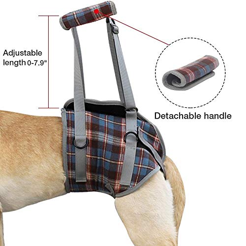 Soporte del arnés perro las patas delanteras de elevación for mascotas perros pata de apoyo trasera Brace las correas del arnés ajustable for ancianos, discapacitados, Lesiones las articulaciones