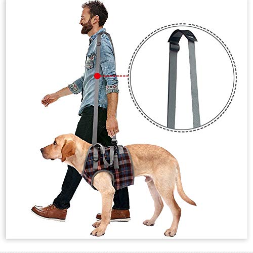 Soporte del arnés perro las patas delanteras de elevación for mascotas perros pata de apoyo trasera Brace las correas del arnés ajustable for ancianos, discapacitados, Lesiones las articulaciones