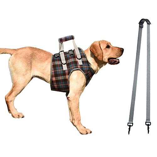 Soporte del arnés perro las patas delanteras de elevación for mascotas perros pata de apoyo trasera Brace las correas del arnés ajustable for ancianos, discapacitados, Lesiones las articulaciones Soporte del arnés perro las patas delanteras de elevación for mascotas perros pata de apoyo trasera Brace las correas del arnés ajustable for ancianos, discapacitados, Lesiones las articulaciones