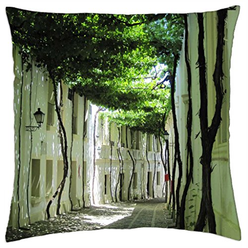 Spanish houses in Jerez de la Frontera, Spain - Throw Pillow Cover Case (18