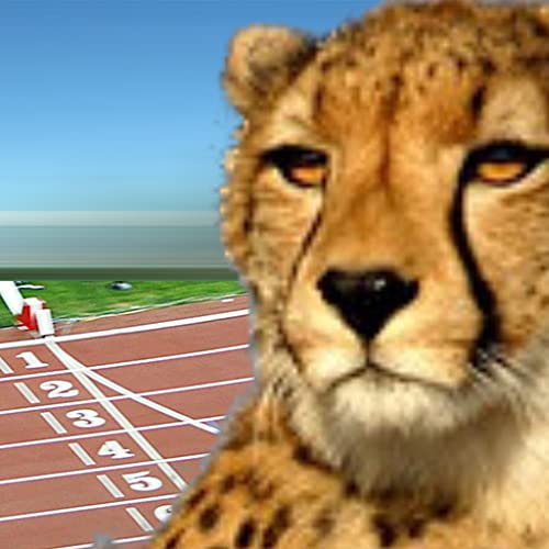 Sprinters Sprinters