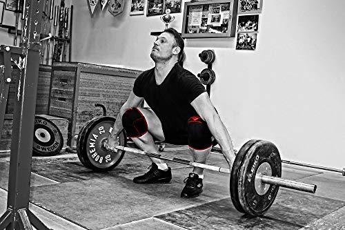 Strength Terra® Rodilleras Neopreno 7 mm para Halterofilia, Powerlifting, Weightlifting, Strongman, Musculación, 30 cm, Gran compresión, Soporte Squat, Vendaje de protección Rodilla, 1 par M