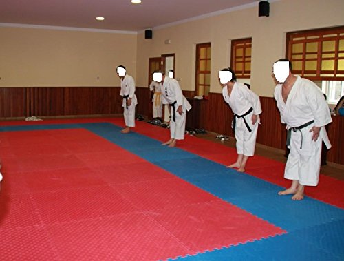 Suelo tatami puzzle grosor 4 cm. plancha de 1 m x 1 m. borde liso (desmontable) (rojo/azul) Suelo tatami puzzle grosor 4 cm. plancha de 1 m x 1 m. borde liso (desmontable) (rojo/azul)