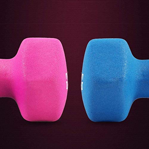 Suge Principiante mancuerna aparatos de Ejercicios con Mancuernas Peso de la Mano con Barra Pesas pequeñas Que Adelgaza de la Infancia (Color : Blue, Size : 1.5kg) Suge Principiante mancuerna aparatos de Ejercicios con Mancuernas Peso de la Mano con Barra Pesas pequeñas Que Adelgaza de la Infancia (Color : Blue, Size : 1.5kg)