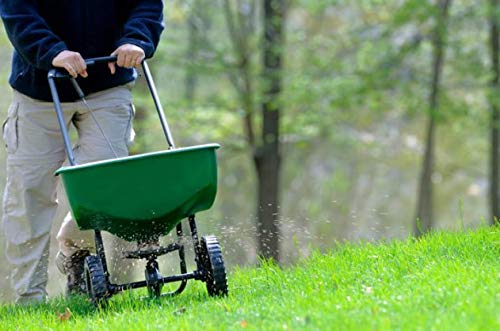 Sulfato de Hierro granulado 25 Kilos. Abono de Fondo Utilizado para Tratar Las clorosis férricas o amarillamiento de Las Plantas.