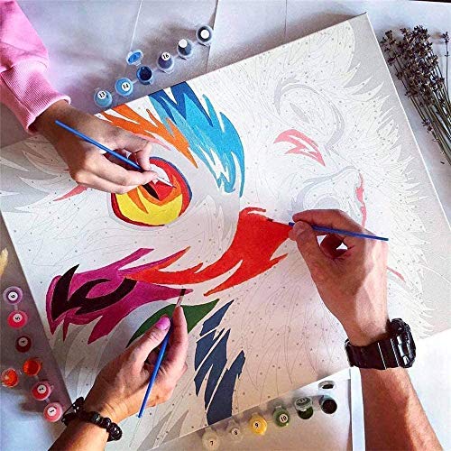 SULISO Sin Marco Pintar por Numeros para Adultos Niños DIY Kit de Pintura por Números sobre Lienzo(40 cm x 50 cm)