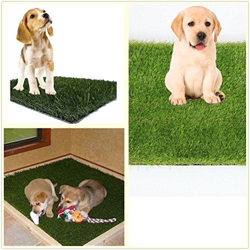 SUMC Hierba artificial Alfombra sintética Entrada de hierba Estera de bienvenida Alfombras falsas Rollo de hierba Alfombras de césped verde para jardín de perros (60 cm x 45 cm)