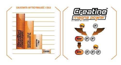 Suplemento Creatina CREAMAP + GFS AMINOS - Suplementos Deportivos - Vitobest (100 Caps) Suplemento Creatina CREAMAP + GFS AMINOS - Suplementos Deportivos - Vitobest (100 Caps)