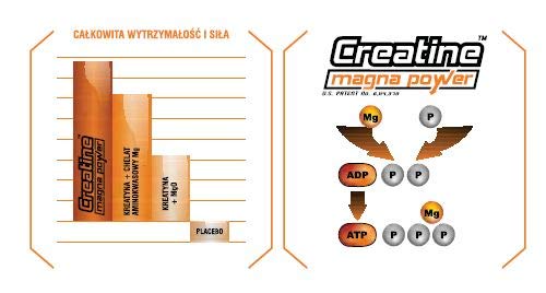 Suplemento Creatina CREAMAP + GFS AMINOS - Suplementos Deportivos - Vitobest (100 Caps)