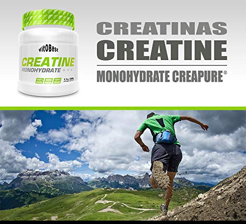 Suplemento Creatina CREATINE MONOHYDRATE - Suplementos Deportivos - Vitobest (200 g) Suplemento Creatina CREATINE MONOHYDRATE - Suplementos Deportivos - Vitobest (200 g)