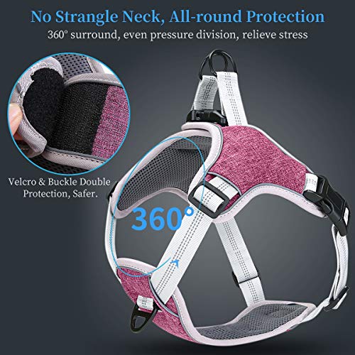 TAMOWA Arnés Perro Ajustable, Arnés Perro Grande Mediano Pequeño Cómodo Transpirable y con Lineas Reflectantes, Arnés para Perro para Caminar Entrenamiento (Morado, S) TAMOWA Arnés Perro Ajustable, Arnés Perro Grande Mediano Pequeño Cómodo Transpirable y con Lineas Reflectantes, Arnés para Perro para Caminar Entrenamiento (Morado, S)