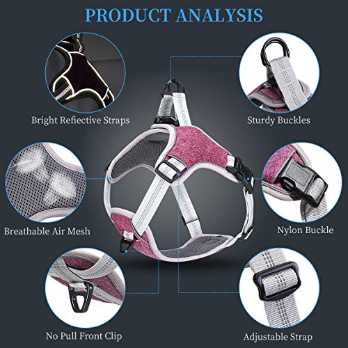 TAMOWA Arnés Perro Ajustable, Arnés Perro Grande Mediano Pequeño Cómodo Transpirable y con Lineas Reflectantes, Arnés para Perro para Caminar Entrenamiento (Morado, S) TAMOWA Arnés Perro Ajustable, Arnés Perro Grande Mediano Pequeño Cómodo Transpirable y con Lineas Reflectantes, Arnés para Perro para Caminar Entrenamiento (Morado, S)