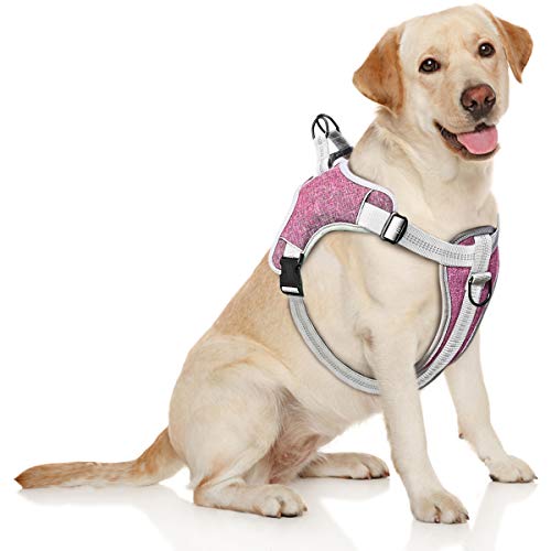 TAMOWA Arnés Perro Ajustable, Arnés Perro Grande Mediano Pequeño Cómodo Transpirable y con Lineas Reflectantes, Arnés para Perro para Caminar Entrenamiento (Morado, S)