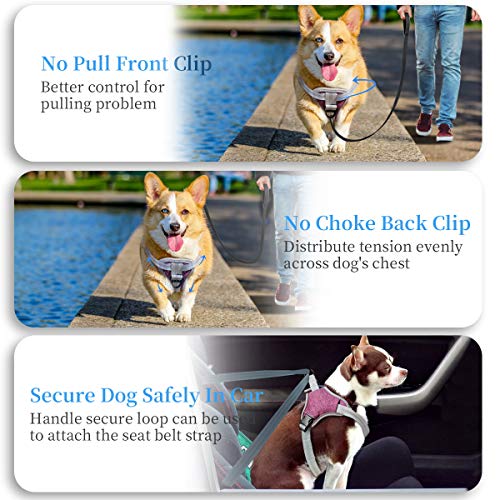 TAMOWA Arnés Perro Ajustable, Arnés Perro Grande Mediano Pequeño Cómodo Transpirable y con Lineas Reflectantes, Arnés para Perro para Caminar Entrenamiento (Morado, S) TAMOWA Arnés Perro Ajustable, Arnés Perro Grande Mediano Pequeño Cómodo Transpirable y con Lineas Reflectantes, Arnés para Perro para Caminar Entrenamiento (Morado, S)
