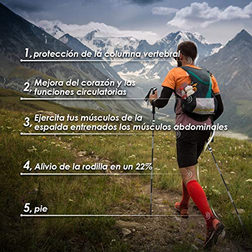 TAOCOCO 2pcs Bastón de Senderismo Plegable 7075 Bastón de Trekking de Aluminio, Bastón de Trekking Plegable Ajustable Ultraligero/Agarre EVA/Viajes de Mochilero TAOCOCO 2pcs Bastón de Senderismo Plegable 7075 Bastón de Trekking de Aluminio, Bastón de Trekking Plegable Ajustable Ultraligero/Agarre EVA/Viajes de Mochilero