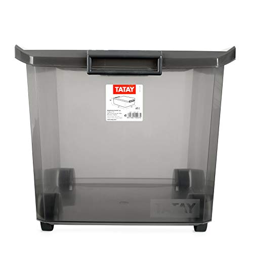 Tatay Caja de Almacenamiento con Ruedas, 60 L de Capacidad, 37,7 x 47,5 x 26, Color Gris Translúcida, PP Libre de Bpa