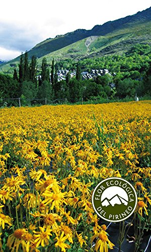 Taull Organics - Crema de Árnica Ecológica con Proteína de Trigo y Menta 200ml | Arnica Montana | Antiinflamatorio Natural | para Molestias Reumáticas y Musculares | Sin Parabenos Taull Organics - Crema de Árnica Ecológica con Proteína de Trigo y Menta 200ml | Arnica Montana | Antiinflamatorio Natural | para Molestias Reumáticas y Musculares | Sin Parabenos