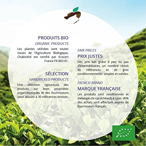 Té verde DETOX BIO 200g - 100 tazas - orgánico - bolsa biodegradable Té verde DETOX BIO 200g - 100 tazas - orgánico - bolsa biodegradable