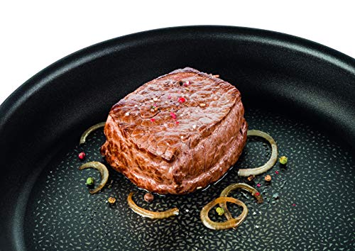 Tefal Expertise - Sartén de aluminio, antiadherente con extra de titanio, aptas para todo tipo de cocinas incluido inducción, 32 cm Tefal Expertise - Sartén de aluminio, antiadherente con extra de titanio, aptas para todo tipo de cocinas incluido inducción, 32 cm