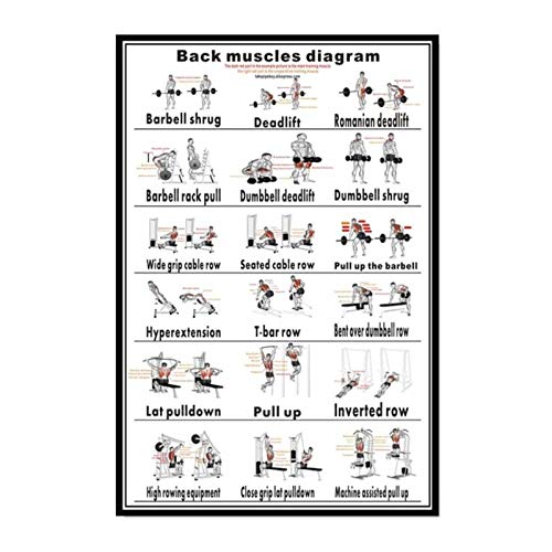Terilizi Póster De Ejercicios con Mancuernas Y Ejercicio con Mancuernas Rutina De Ejercicios con Mancuernas Póster De Entrenamientos con Mancuernas Pintura Decorativa C-60X90Cm Sin Marco Terilizi Póster De Ejercicios con Mancuernas Y Ejercicio con Mancuernas Rutina De Ejercicios con Mancuernas Póster De Entrenamientos con Mancuernas Pintura Decorativa C-60X90Cm Sin Marco