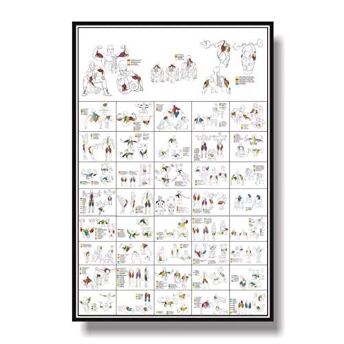 Terilizi Póster De Ejercicios con Mancuernas Y Ejercicio con Mancuernas Rutina De Ejercicios con Mancuernas Póster De Entrenamientos con Mancuernas Pintura Decorativa A-60X90Cm Sin Marco Terilizi Póster De Ejercicios con Mancuernas Y Ejercicio con Mancuernas Rutina De Ejercicios con Mancuernas Póster De Entrenamientos con Mancuernas Pintura Decorativa A-60X90Cm Sin Marco