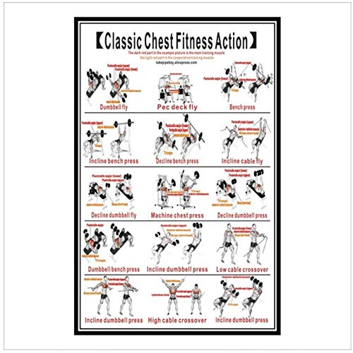 Terilizi Póster De Ejercicios con Mancuernas Y Ejercicio con Mancuernas Rutina De Ejercicios con Mancuernas Póster De Entrenamientos con Mancuernas Pintura Decorativa H-60X90Cm Sin Marco Terilizi Póster De Ejercicios con Mancuernas Y Ejercicio con Mancuernas Rutina De Ejercicios con Mancuernas Póster De Entrenamientos con Mancuernas Pintura Decorativa H-60X90Cm Sin Marco