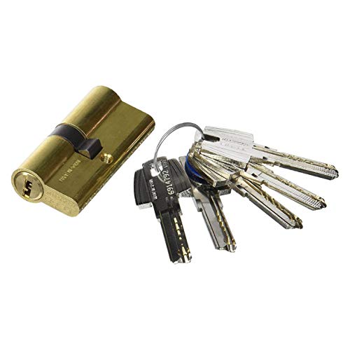 Tesa Assa Abloy 3010151 Cilindro Seguridad T60 /30X30 Latonado, 30 x 30 mm Tesa Assa Abloy 3010151 Cilindro Seguridad T60 /30X30 Latonado, 30 x 30 mm
