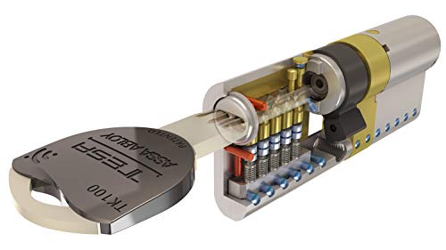 Tesa Assa Abloy TK153030L - Cilindro de Alta Seguridad, TK100, Doble Embrague, Leva Larga, Latonado, 30 x 30 mm Tesa Assa Abloy TK153030L - Cilindro de Alta Seguridad, TK100, Doble Embrague, Leva Larga, Latonado, 30 x 30 mm