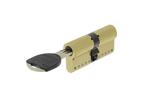 Tesa Assa Abloy TK153030L - Cilindro de Alta Seguridad, TK100, Doble Embrague, Leva Larga, Latonado, 30 x 30 mm Tesa Assa Abloy TK153030L - Cilindro de Alta Seguridad, TK100, Doble Embrague, Leva Larga, Latonado, 30 x 30 mm