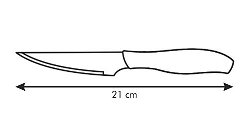 Tescoma Juego de 6 Cuchillos chuleteros, 10 cm, Multicolor