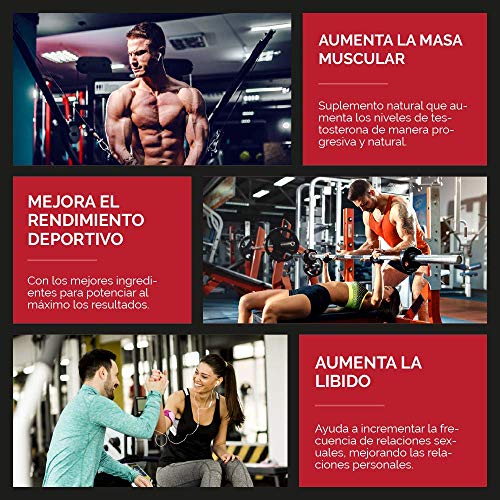 Testosterona vigorizante, aumento de rendimiento masculino. TESTOFEN + ginseng, zinc y maca. Testosterona natural REGISTRADA y avalada con estudios clínicos. Aumento de potencia sexual. ISO 9001