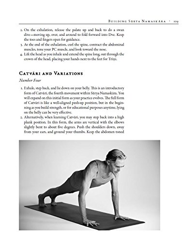 The Art Of Vinyasa: Awakening Body and Mind Through the Practice of Ashtanga Yoga