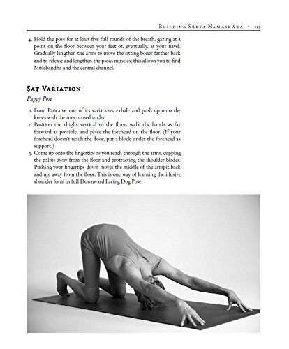 The Art Of Vinyasa: Awakening Body and Mind Through the Practice of Ashtanga Yoga