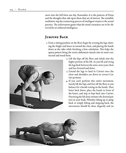 The Art Of Vinyasa: Awakening Body and Mind Through the Practice of Ashtanga Yoga