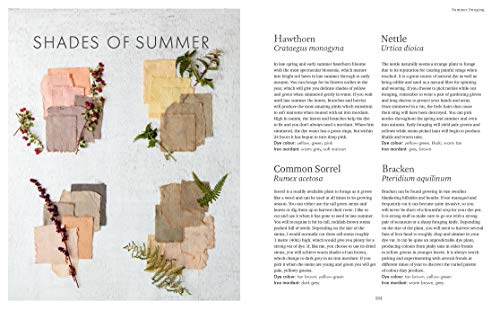 The Wild Dyer: A guide to natural dyes & the art of patchwork & stitch