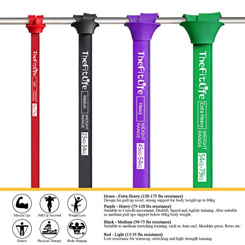 TheFitLife Bandas Elasticas Fitness Musculacion - Cintas Elásticas de Resistencia para Pull-ups Asistidos, Cross-Training, Dominadas, Yoga, Pilates, Fisioterapia, con E-Guía de Ejercicios