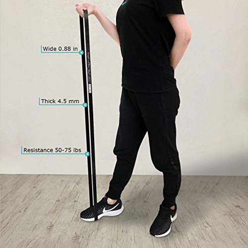 TheFitLife Bandas Elasticas Fitness Musculacion - Cintas Elásticas de Resistencia para Pull-ups Asistidos, Cross-Training, Dominadas, Yoga, Pilates, Fisioterapia, con E-Guía de Ejercicios