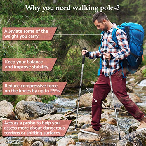 TheFitLife Los Bastones De Senderismo - Bastones Telescópicos Plegables, 2 Packs Ultraligeros. Bastones Extendibles para Camping, Montañismo, Viajes y Senderismo TheFitLife Los Bastones De Senderismo - Bastones Telescópicos Plegables, 2 Packs Ultraligeros. Bastones Extendibles para Camping, Montañismo, Viajes y Senderismo